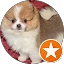 Spark DaPomStewart